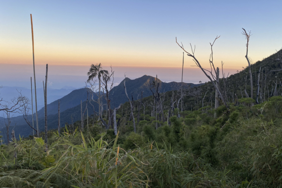 Sierra de Santa Marta / San Lorenzo-Kamm